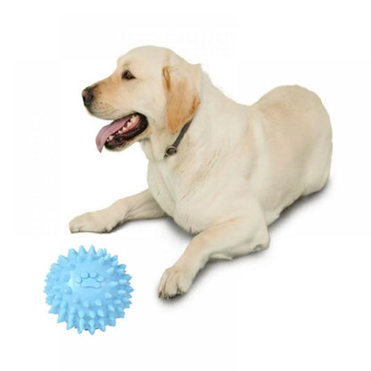 Balls for Dogs Small, Fetch Balls for Dogs Rubber Cute Colors TPR Puppy Toys Dog Toy Balls Dog Toys Spike Ball Dog Chew Toys for Small Dogs Pet Toys for Puppy Teething Toys,Blue